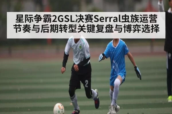 星际争霸2GSL决赛Serral虫族运营节奏与后期转型关键复盘与博弈选择